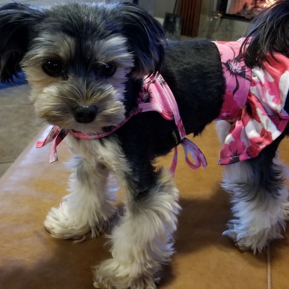 Hi itโs Gisella a wannabe reformed hoarder - Picture 4 of 8